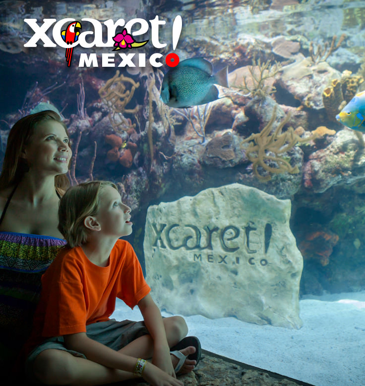 https://azultravelonline.com/blog/wp-content/uploads/2017/06/acuario-arrecife-xcaret-01.jpg