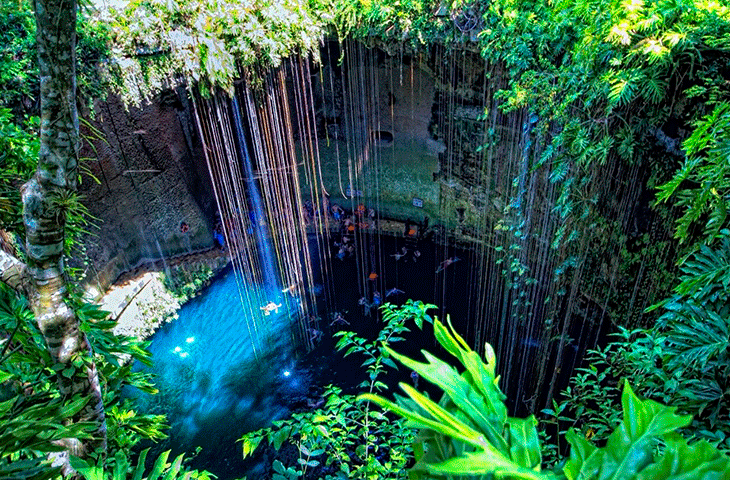 CENOTE_VISTAAFUERA.png