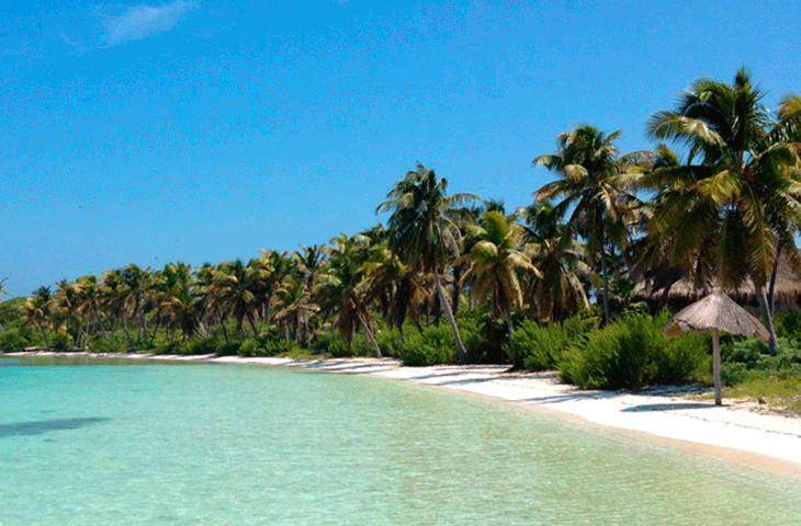 ISLA_CONTOY_PLAYA_FLORA_TROPICAL.png