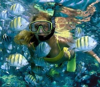 Isla-Mujeres-Snorkel-Tour.jpg