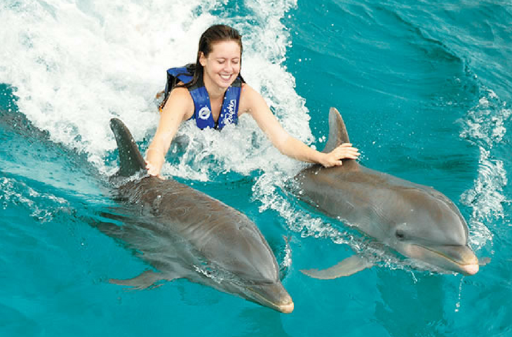 ROYAL_SWIMM_CANCUN_PAR_DE_DELFINES.png