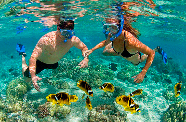 SNORKELING_ADVENTURE_PLAYA_DEL_CARMEN.png