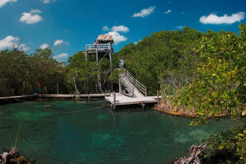 cenote-yalahau-hero.jpg