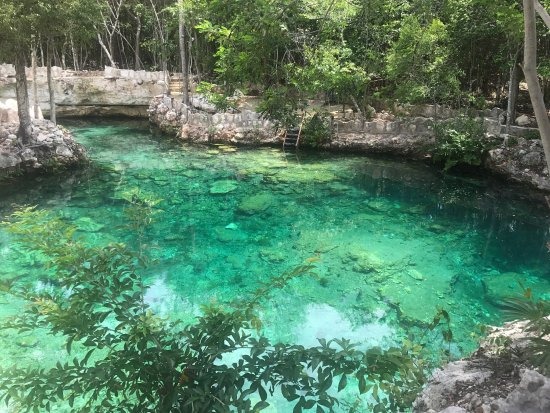 cenotes-casa-tortuga.jpg